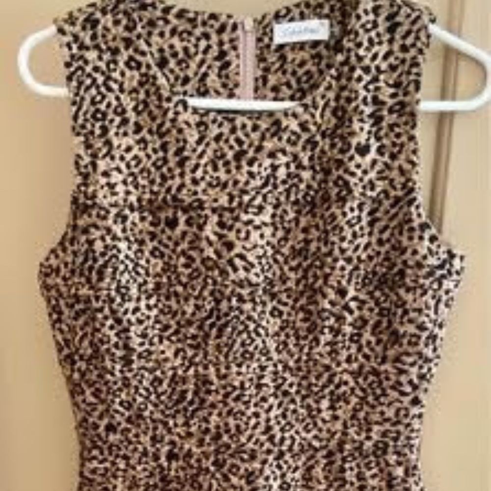 Calvin Klein Dress